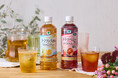 【Afternoon Tea監修】ストロベリーやラ・フランスの芳醇な香りが楽しめるフレーバーティーのペットボトル飲料2種を、全国のファミリーマートで新発売