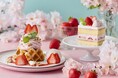 【Afternoon Tea】さくらホイップでモンブラン仕立てにした「さくらと苺のモンブランワッフル」など、桜づくしの春限定スイーツ＆ティーを新発売