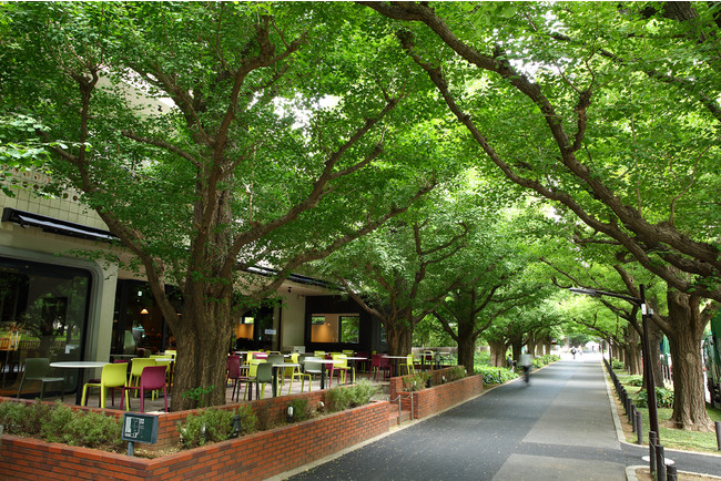 キハチ 青山本店