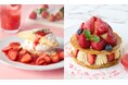 【Afternoon Tea】新作「苺と塩キャラメルのスコーンショートケーキ」が登場!"いちごの日"の苺2倍イベントや、”あまおうづくし”のご褒美ミルフィーユも