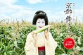 【累計販売本数40万本突破!】フルーツのような白いとうもろこし「京都舞コーン」予約開始
