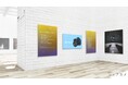 オンライン美術館『シェアカメ写真館』開館のお知らせ