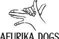 【AFURIKA DOGS×PAIKAJI】タイアップイベントをホテルアンテルーム那覇にて開催