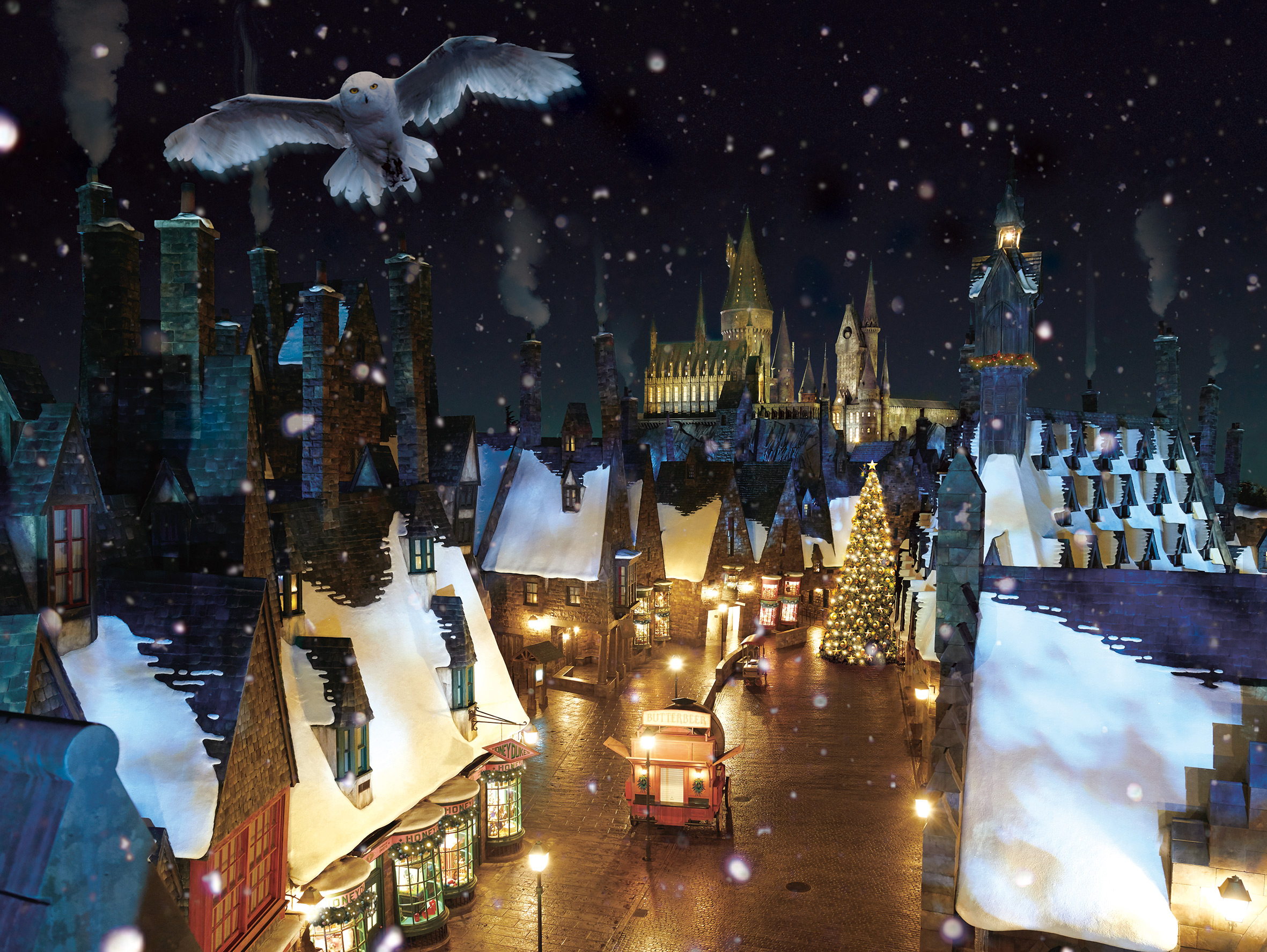 ユニバーサル スタジオ ジャパン The Wizarding World Of Harry Potter クリスマス の魔法界が この冬初登場 合同会社ユー エス ジェイのプレスリリース