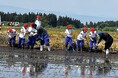 【福島県磐梯町】磐梯第一小学校で田植え体験を実施します!