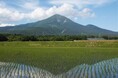 【福島県磐梯町】~AIを正しく楽しく使ってみんなが「幸せ」に~全国の自治体で初めて「最高AI責任者(CAIO)」を設置します
