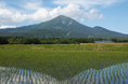 【福島県磐梯町】学校を「えらべる」町のあたらしい教育！渋谷QWSで磐梯町の教育の魅力を紹介するイベントを開催