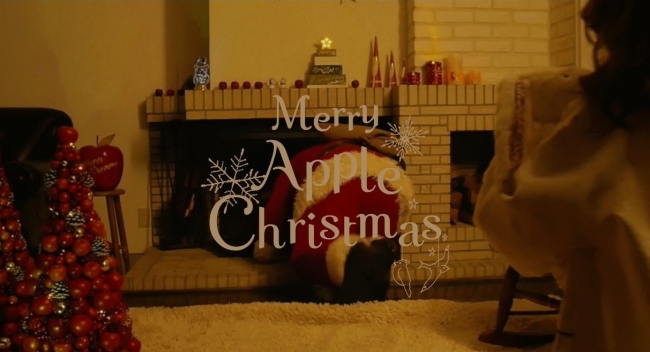 Merry Apple Christmas!幸せの“りんご”と日本唯一の公認サンタクロース