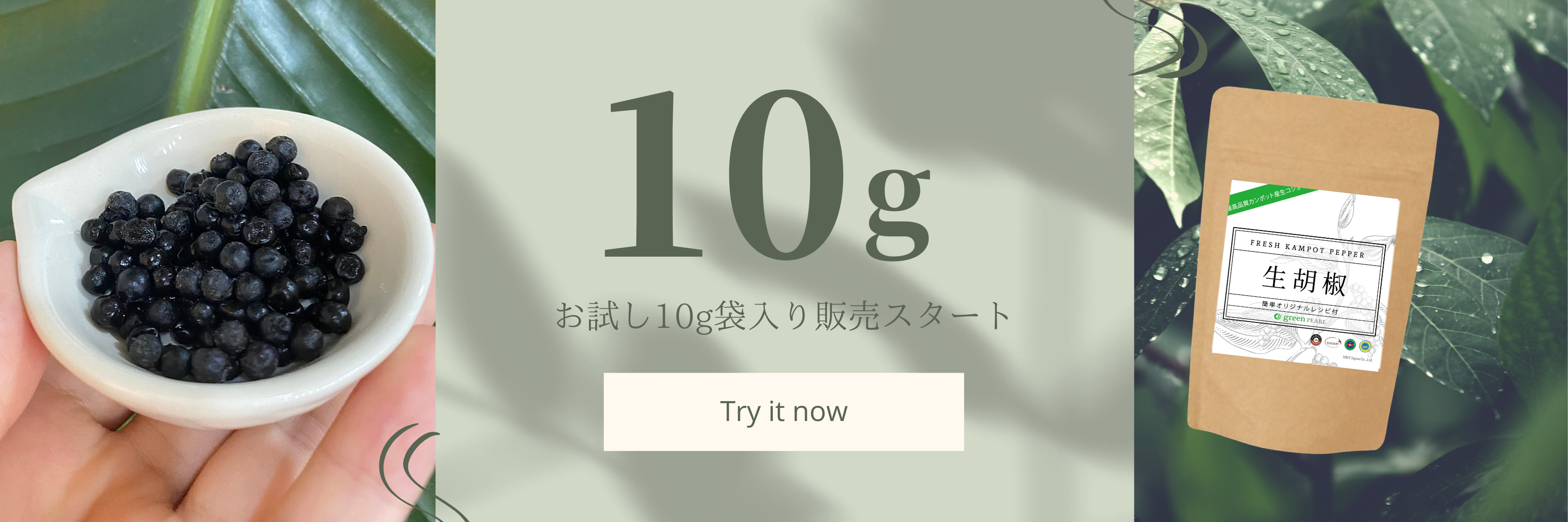 世界中のシェフに愛される味をご家庭で『“生胡椒”の塩漬け』お試し10gサイズを新販売｜株式会社 NMT Japanのプレスリリース