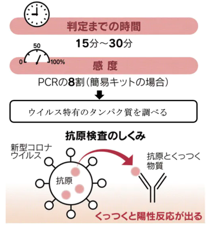 コロナ 抗原 検査 感度