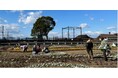 明和町斎宮・花ばたけで作る史跡活用の好循環