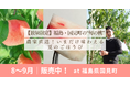 【数量限定】福島・国見町の“旬の桃”を農家直送!いまだけ味わえる夏のごほうび