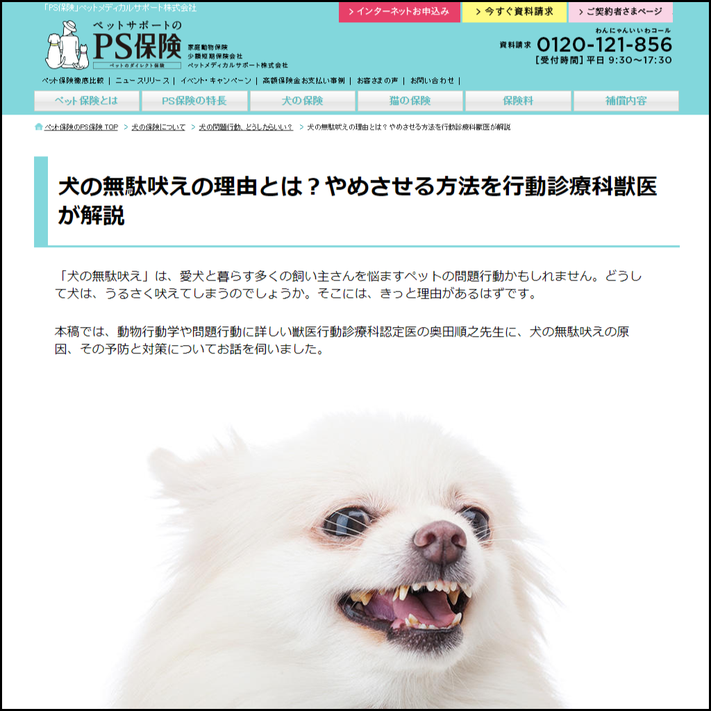 犬の問題行動 犬の無駄吠え ウェブコンテンツ公開 ペット保険 Ps保険 ペットメディカルサポート株式会社のプレスリリース