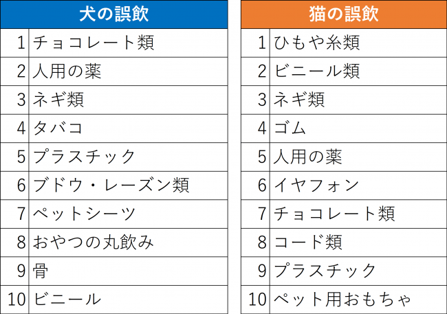 犬と猫の誤飲物