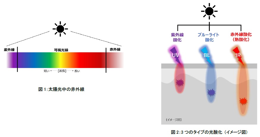 資生堂 赤外線が肌に悪影響を与えるメカニズムを解明 進化を続ける資生堂の光研究は3つのタイプの光酸化へ対応 株式会社資生堂のプレスリリース