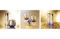 引き締める、決意。ハリに満ちた明日へ。新「SHISEIDO バイタルパーフェクション」誕生。~2024年2月1日(木)発売~