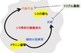 資生堂、世界初、光学リアルタイム解析法FLIMの応用で、シミがシミを呼ぶ特有の細胞老化現象を解明 ~”シミの一生”に着目し、独自のトリプル薬剤を開発、2024年IFSCC最優秀賞受賞~