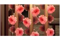 SHISEIDO GINZA ARTプロジェクト ART OF CAMELLIA 4月30日まで開催中 資生堂 伝統の椿をモチーフにアートプロジェクトを展開