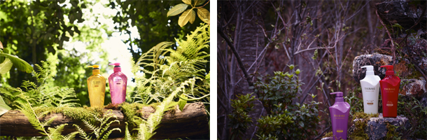 Tsubaki 新tv Cm 2つの新しい物語が完成 長谷川潤さん 黒木華さんがはじめて共演した意外なオトコたちは 株式会社資生堂のプレスリリース