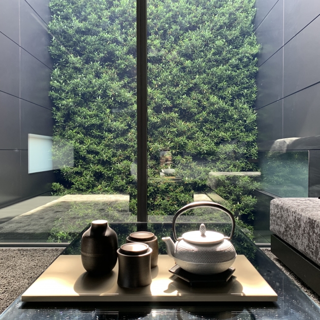 MOGANA roomからの壁面緑化の眺め