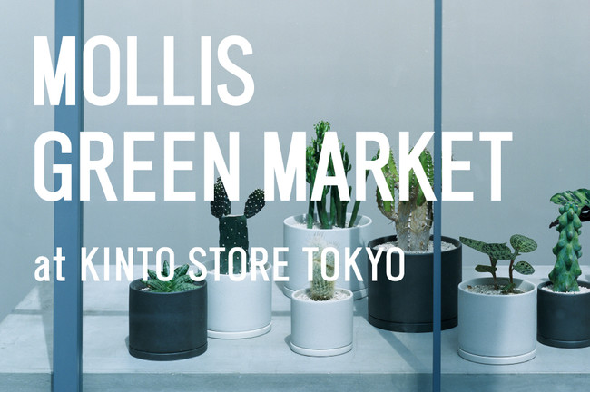 Event 直営店 Kinto Store Tokyo にてmollis Green Market を開催 キントーのプレスリリース