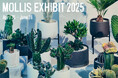 KINTO STORE Tokyo にて MOLLIS EXHIBIT 2025 を4月25日(金)より開催