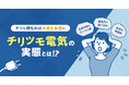 チリも積もれば大きな負担に！「電気代の思い込み」や 「正体不明のゴースト損」を筆頭とした“ムダ電気習慣”など家計に響く「チリツモ電気」に迫る、調査結果を発表