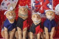 いなばペットフード わんちゃん、猫ちゃんの「お月見」ショットを募集!2025年9月カレンダー画像