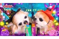いなばペットフード　ハロウィン仮装のわんちゃんたちが大活躍！「Wanちゅ〜る」2026年ハロウィンTVCM第1弾を公開