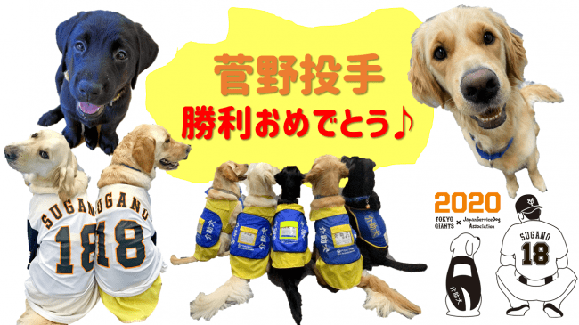 読売巨人軍×日本介助犬協会】東京ドームのバーチャルバックネットで