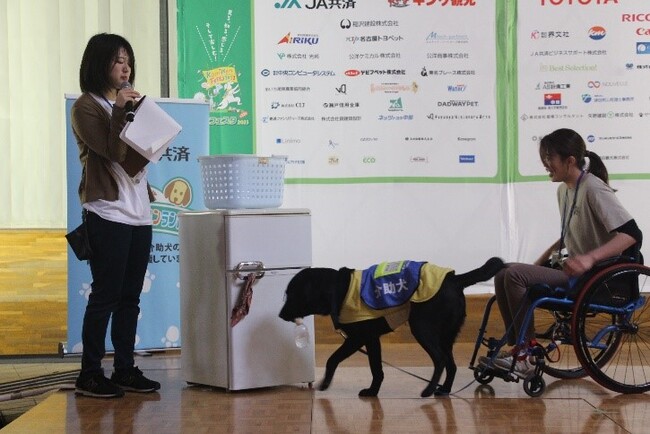 介助犬デモンストレーション 介助犬デモンストレーション