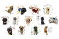 介助犬支援に繋がる新LINEスタンプ販売開始!