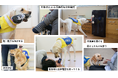 【日本介助犬協会】愛知と神奈川で2組同時に合同訓練実施中！