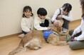 180日間のクラウドファンディング型ふるさと納税に挑戦！