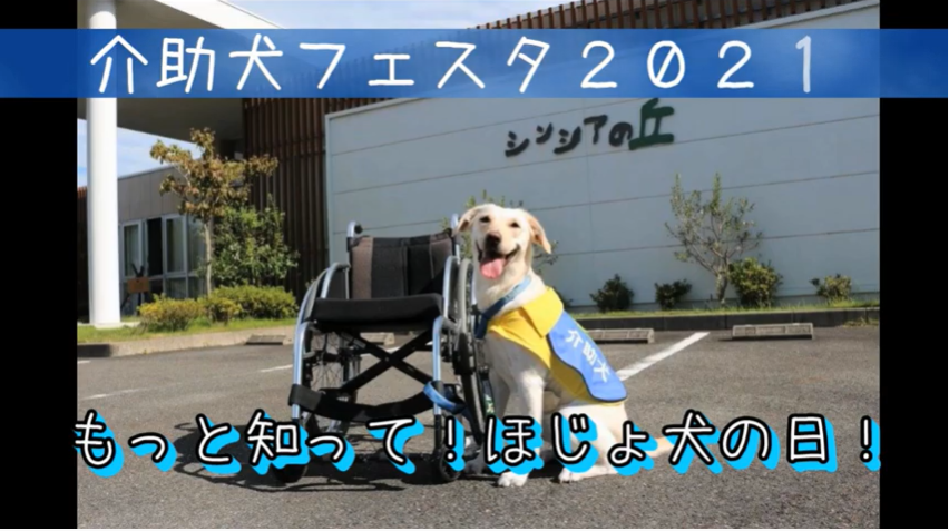 5月22日 ほじょ犬の日 身体障害者補助犬法にまつわる特別対談企画を実施 社会福祉法人 日本介助犬協会のプレスリリース