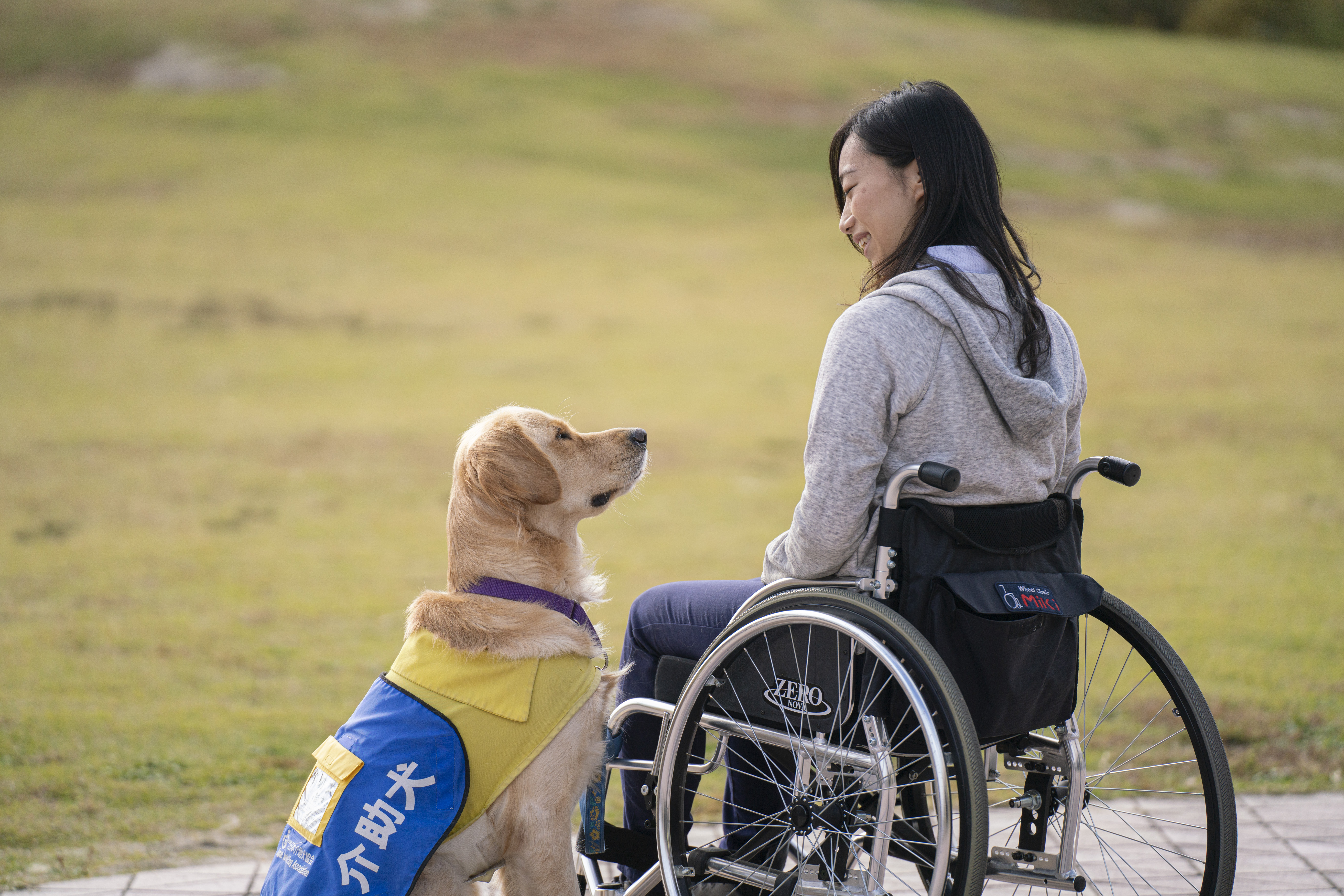 2頭目の介助犬との暮らしに向けて 神奈川県にてコロナ禍の合同訓練を5月より開始 社会福祉法人 日本介助犬協会のプレスリリース