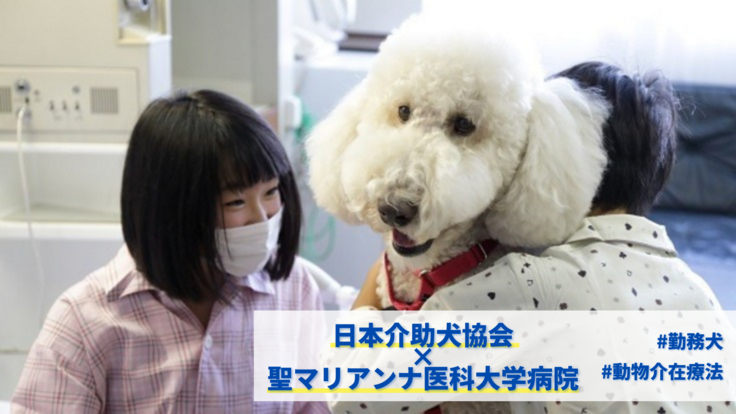 原画】『スゴロック居住区』（犬 猫 動物） 買付価格 amicinfo.com