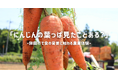 鉾田市農業体験プロジェクト第五弾「食育×にんじん収穫」五右衛門.farmで農業体験 親子参加も大歓迎