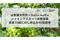 山梨県大月市×Nativ.media、関係人口創出のためのシャインマスカット収穫体験、定員10組に対し申込み90組獲得