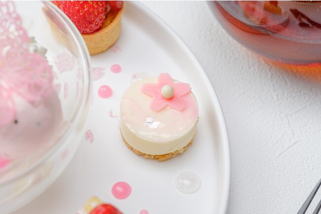 桜レアチーズケーキ 桜レアチーズケーキ