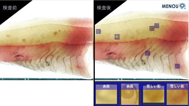検査AI MENOUが、魚の切り身画像からアニサキスを検知する様子