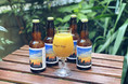 threefeetが新商品『裏原坂Fruits Smoothie Sour Hazy IPA』を11月26日(金)から発売