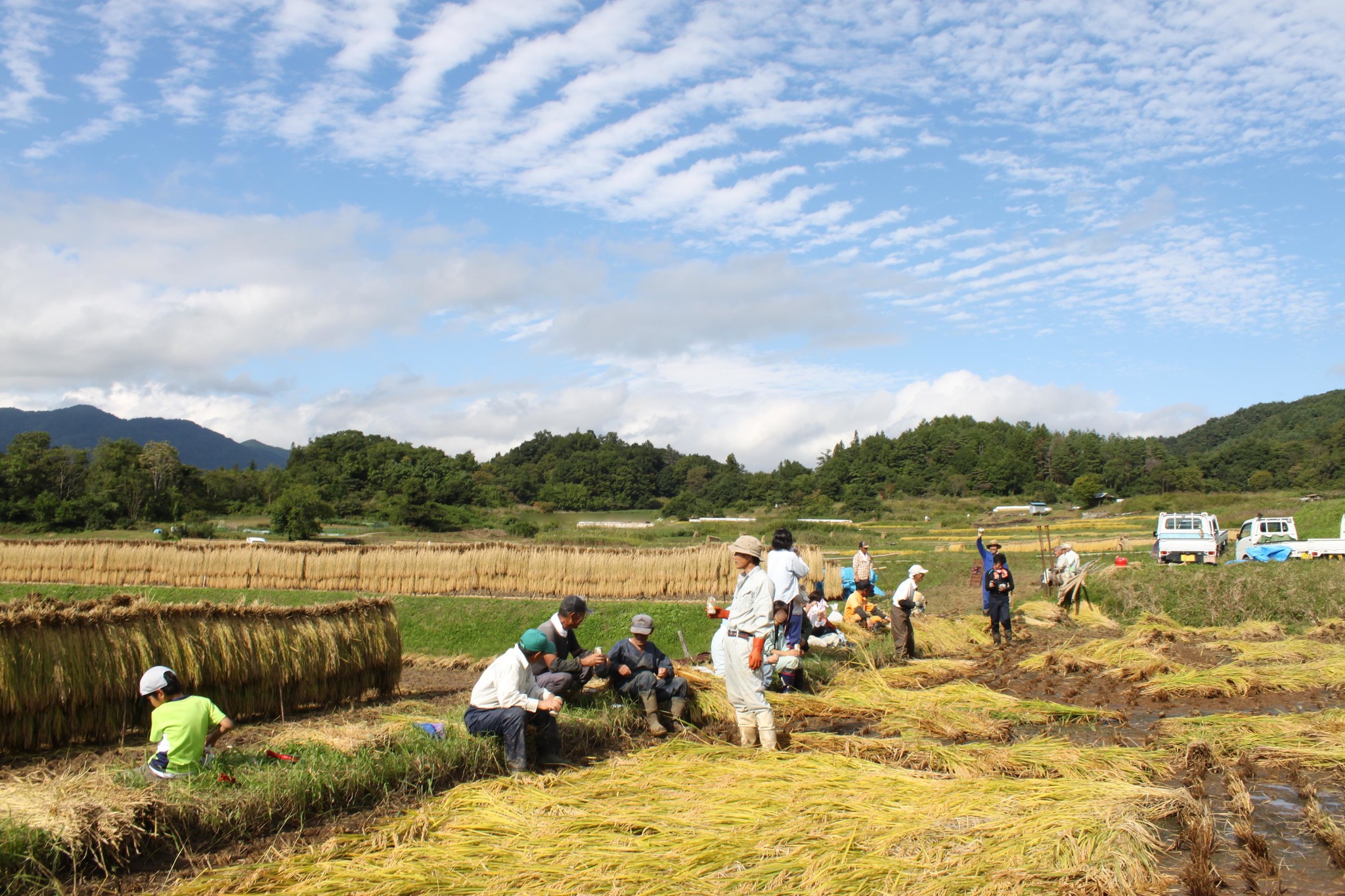 “食”を通して社会や人々を繋ぐ。長野県SDGs推進企業の「清水製粉工場」が、2021年10月より本社と飯山支店において「アスエネ」の再エネ100％電力を導入。