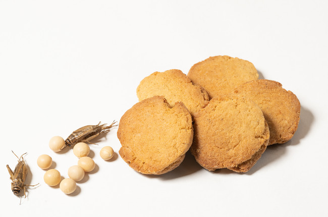 大豆とコオロギのクッキーイメージ