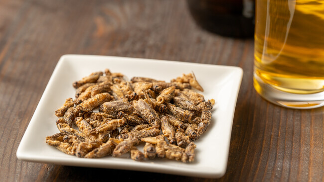 東武宇都宮百貨店1月11日