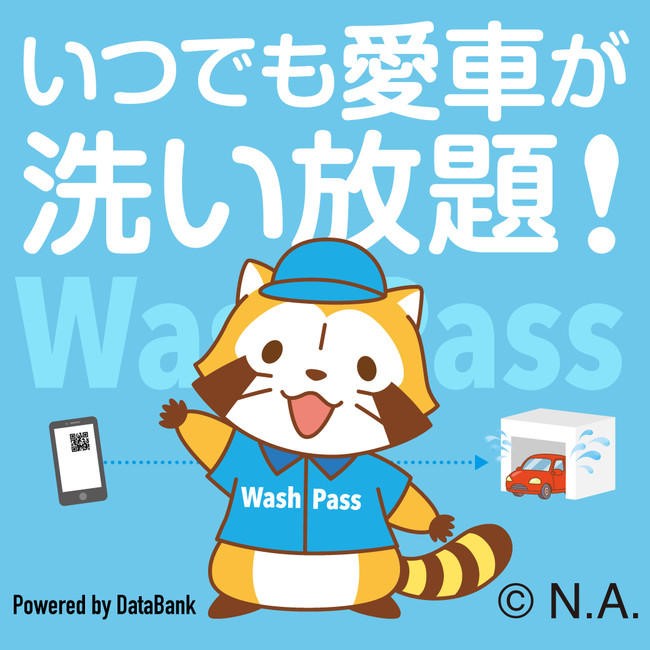 Wash Pass