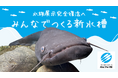 日本唯一にして世界有数の古代湖琵琶湖のシンボル“ビワコオオナマズ ”破損した大型水槽復活へ クラウドファンディング第2弾を8月28日（水）より開始
