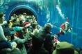 琵琶湖博物館にサンタクロースがやってくる！12月24日（金）、25日（土）クリスマス期間限定イベント開催決定