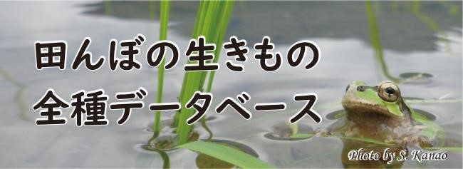 田んぼの生きもの全種データベース を公開しました 滋賀県立琵琶湖博物館のプレスリリース