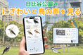 日比谷公園の「にぎわい」と「鳥の声」を見える化する実証実験が完了